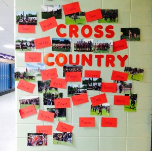 XC Wall